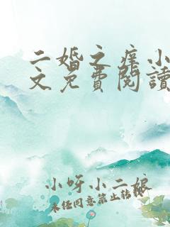 二婚之痒小说全文免费阅读