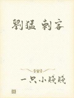 刘猛 刺客