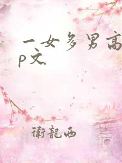 一女多男高hnp文