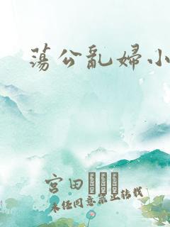 荡公乱妇小说