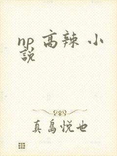 np 高辣 小说