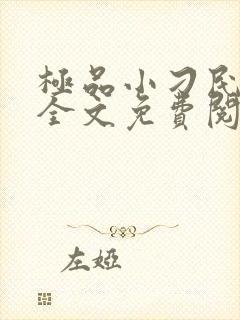 极品小刁民小说全文免费阅读