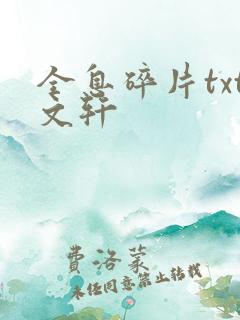 全息碎片txt文轩
