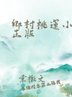 乡村桃运小傻医正版