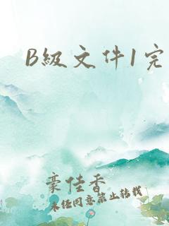 B级文件1完整
