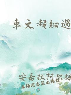 车文超细过程