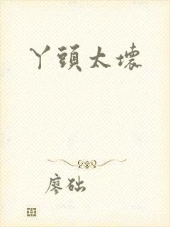 丫头太坏
