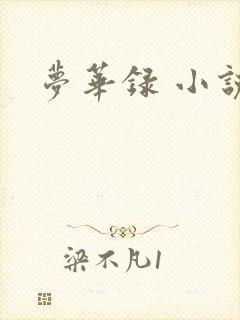 梦华录 小说