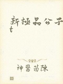 新极品公子txt