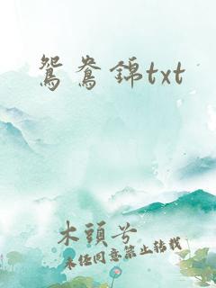 鸳鸯锦txt