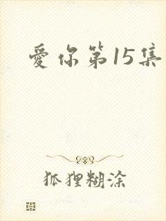 爱你第15集