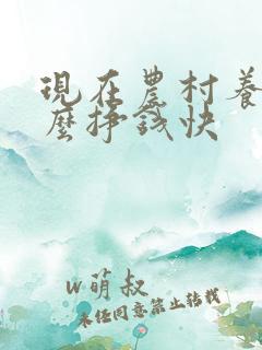 现在农村养殖什么挣钱快