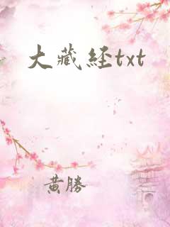大藏经txt
