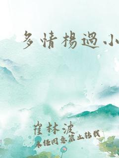 多情杨过小说