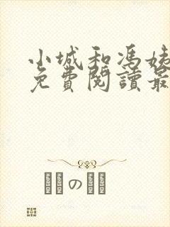 小城和冯姨小说免费阅读最新章节