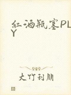 红酒瓶塞PLAY