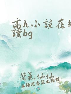 高h小说在线阅读bg