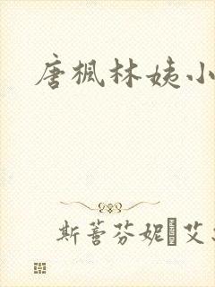 唐枫林姨小说