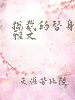 总裁的替身前妻雅文