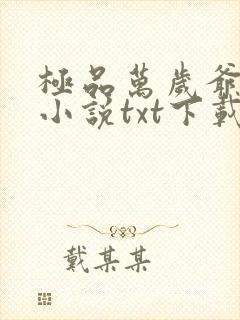极品万岁爷妖刀小说txt下载