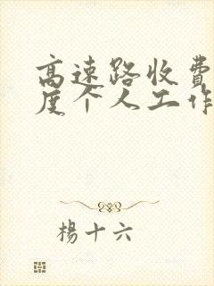 高速路收费员年度个人工作总结