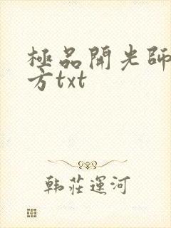 极品开光师李南方txt