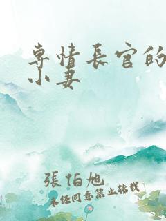 专情长官的天价小妻