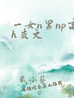 一女n男np高h爽文