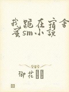 我跪在宿舍被闺蜜sm小说