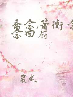 乔念,萧衡 念念回府