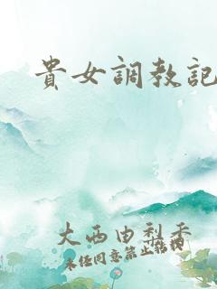 贵女调教记