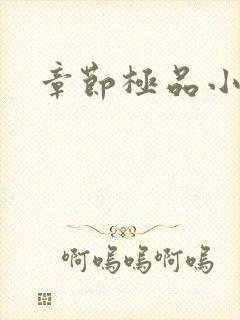 章节极品小农民