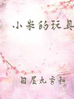 小米的玩具日记