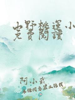 山野桃运小傻医免费阅读