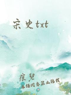 宋史txt