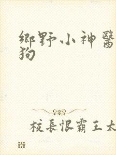 乡野小神医陈二狗