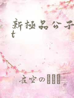 新极品公子txt