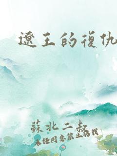 辽王的复仇小妾