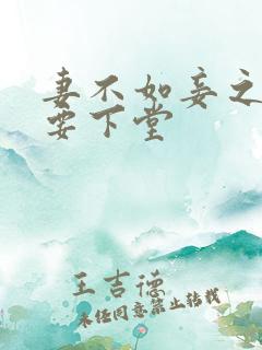 妻不如妾之夫人要下堂
