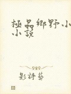 极品乡野小农民小说