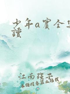 少年a宾全集阅读