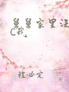 舅舅家里没人快C我