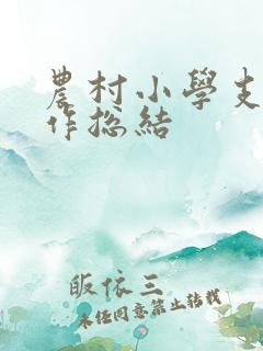农村小学支教工作总结