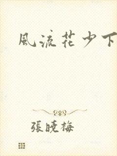 风流花少下载