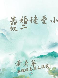 先婚后爱小说梦筱二
