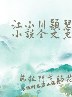 江小川颖儿穿越小说全文免费阅读