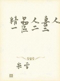 精品人妻人妻人一区二三