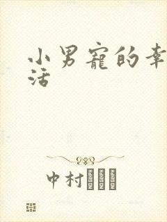 小男宠的幸福生活