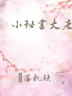 小秘书大老婆