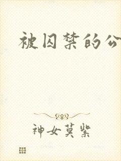 被囚禁的公主